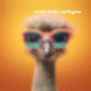 Ticket nicht mehr verfügbar